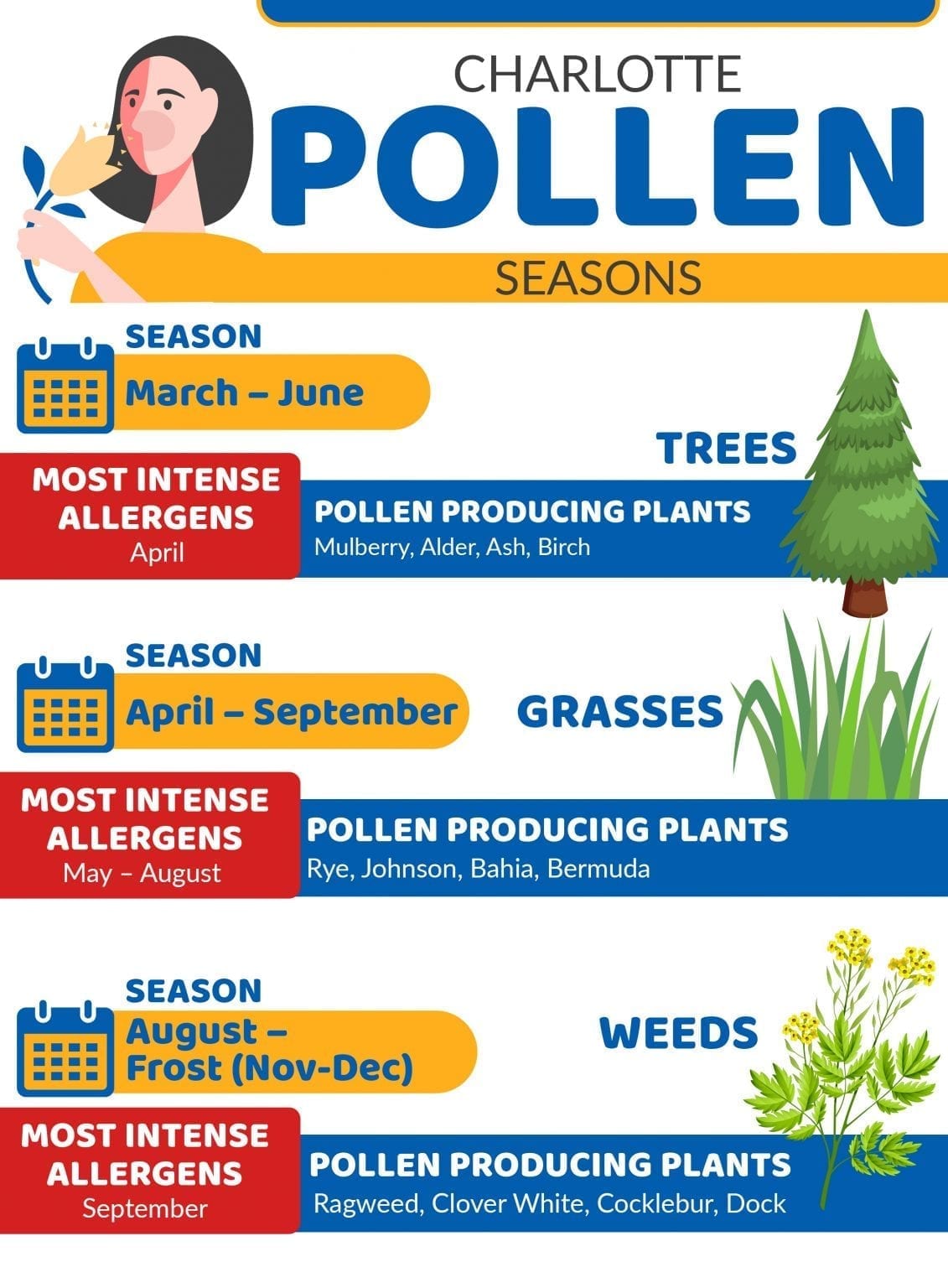 When Does Pollen Season End in Charlotte, NC? Carolina Asthma & Allergy