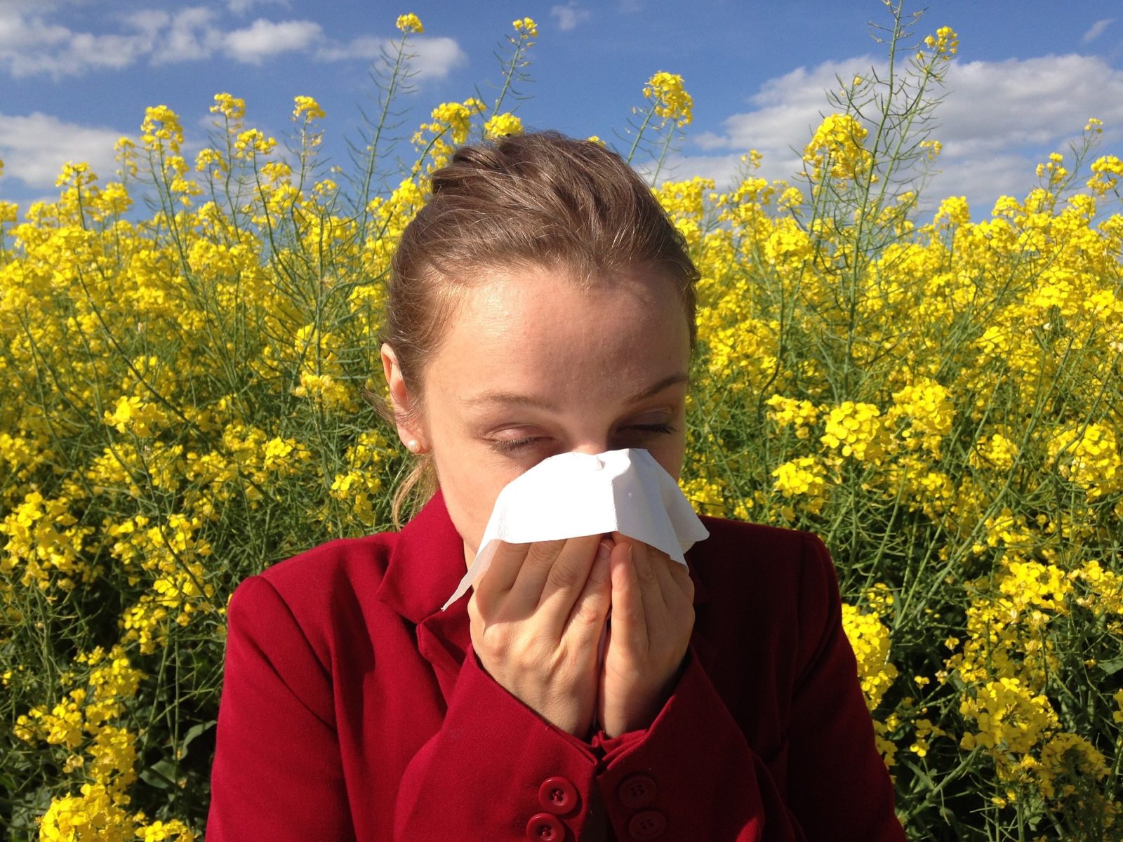 How To Keep Your Seasonal Allergies In Check