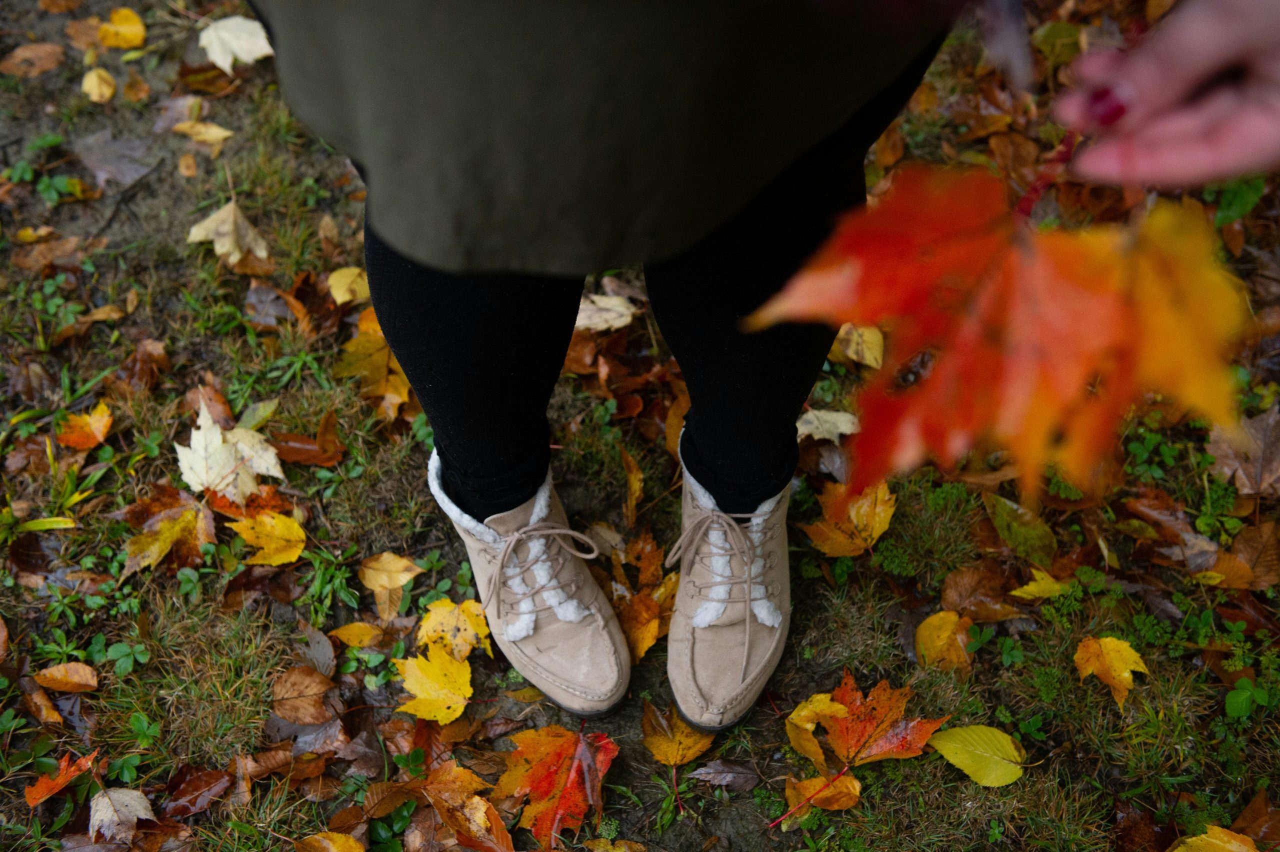 Fall into Comfort: Navigating Fall Allergy Season with Ease